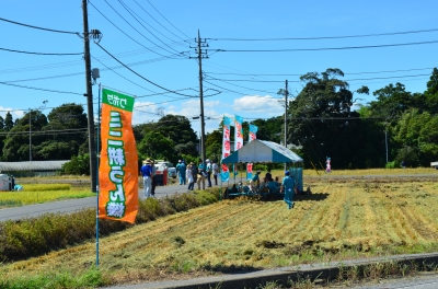 田んぼにテント